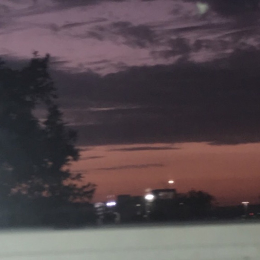 Meet your Posher, Ace